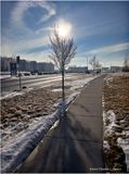 IMG_3879-Airdrie.jpg