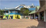 IMG_4921-Roatan.jpg