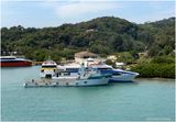 IMG_4989-Roatan.jpg