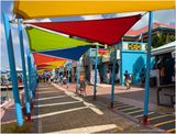 IMG_5311-Belize.jpg