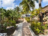 IMG_5528-Cozumel.jpg