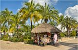 IMG_5553-Cozumel.jpg