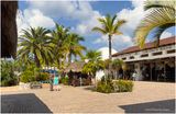 IMG_5564-Cozumel.jpg