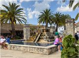 IMG_5604Cozumel.jpg
