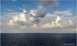IMG_4616.jpg