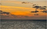 IMG_5262.jpg