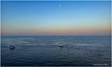 IMG_5450.jpg