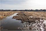 DSC09595-Airdrie.jpg