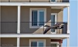 K4230975-Canada Goose.jpg