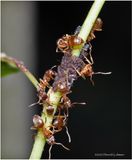 KF000993-small beginnings.jpg