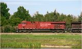 K4232425.jpg