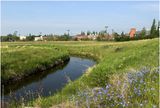 IMG_8035-Airdrie.jpg