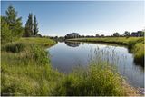 DSC09954-Airdrie.jpg