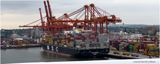 IMG_7929-Vancouver B.C..jpg