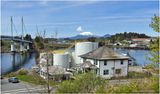 IMG_6592-Sitka,Alaska.jpg