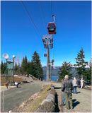 IMG_6975-Icy Strait Point.jpg