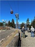 IMG_6977-Icy Strait Point.jpg