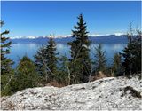 IMG_6978-Icy Strait Point.jpg
