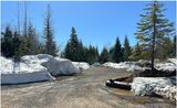 IMG_6998-Icy Strait Point.jpg