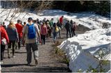 DSC09780-Icy Strait Point.jpg