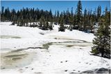 DSC09795-Icy Strait Point.jpg