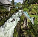 IMG_7466-Ketchikan, Alaska.jpg