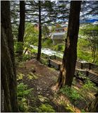 IMG_7481-Ketchikan, Alaska.jpg