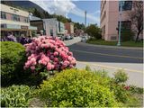 IMG_7540-Ketchikan, Alaska.jpg