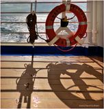 IMG_7696-Crown Princess.jpg