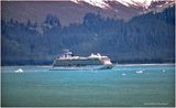 K4231218-Yakutat Bayt.jpg