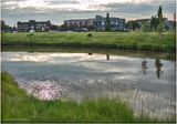 DSC09976-Airdrie.jpg