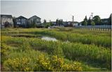 DSC00022-Airdrie.jpg
