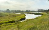 IMG_8359-Airdrie.jpg