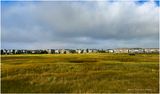 IMG_8323-Airdrie.jpg