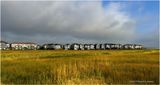 IMG_8330-Airdrie.jpg