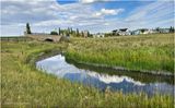 IMG_8590-Airdrie.jpg