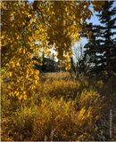 IMG_9913-Airdrie.jpg