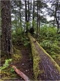 IMG_9120-Icy Strait Point.jpg