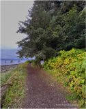 IMG_9201-Icy Strait Point.jpg