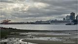 IMG_9830-Vancouver BC.jpg