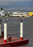 IMG_0957-Belize City.jpg