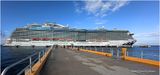 IMG_1119-Regal Princess in Cusomel.jpg
