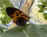 IMG_1382.jpg