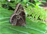 IMG_1393.jpg
