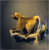IMG_1622.jpg