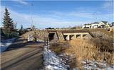 IMG_1816-Airdrie.jpg
