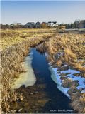 IMG_1828-Airdrie.jpg