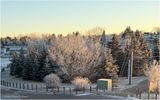 IMG_1922-Airdrie.jpg