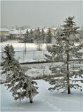 IMG_1967-Airdrie.jpg
