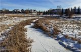 IMG_1992-Airdrie.jpg